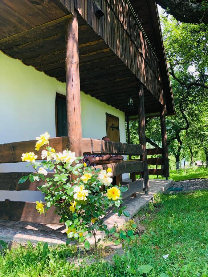 Vila Еко Дім З Соломи Soločin Exteriér fotografie