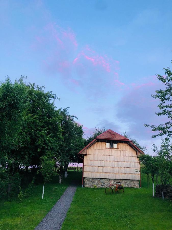Vila Еко Дім З Соломи Soločin Exteriér fotografie