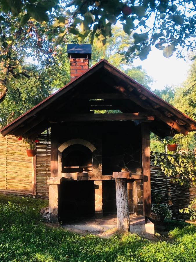Vila Еко Дім З Соломи Soločin Exteriér fotografie