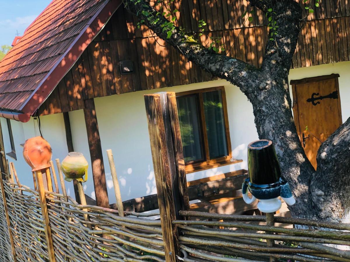 Vila Еко Дім З Соломи Soločin Exteriér fotografie