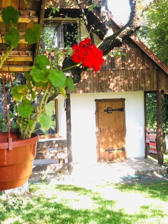 Vila Еко Дім З Соломи Soločin Exteriér fotografie