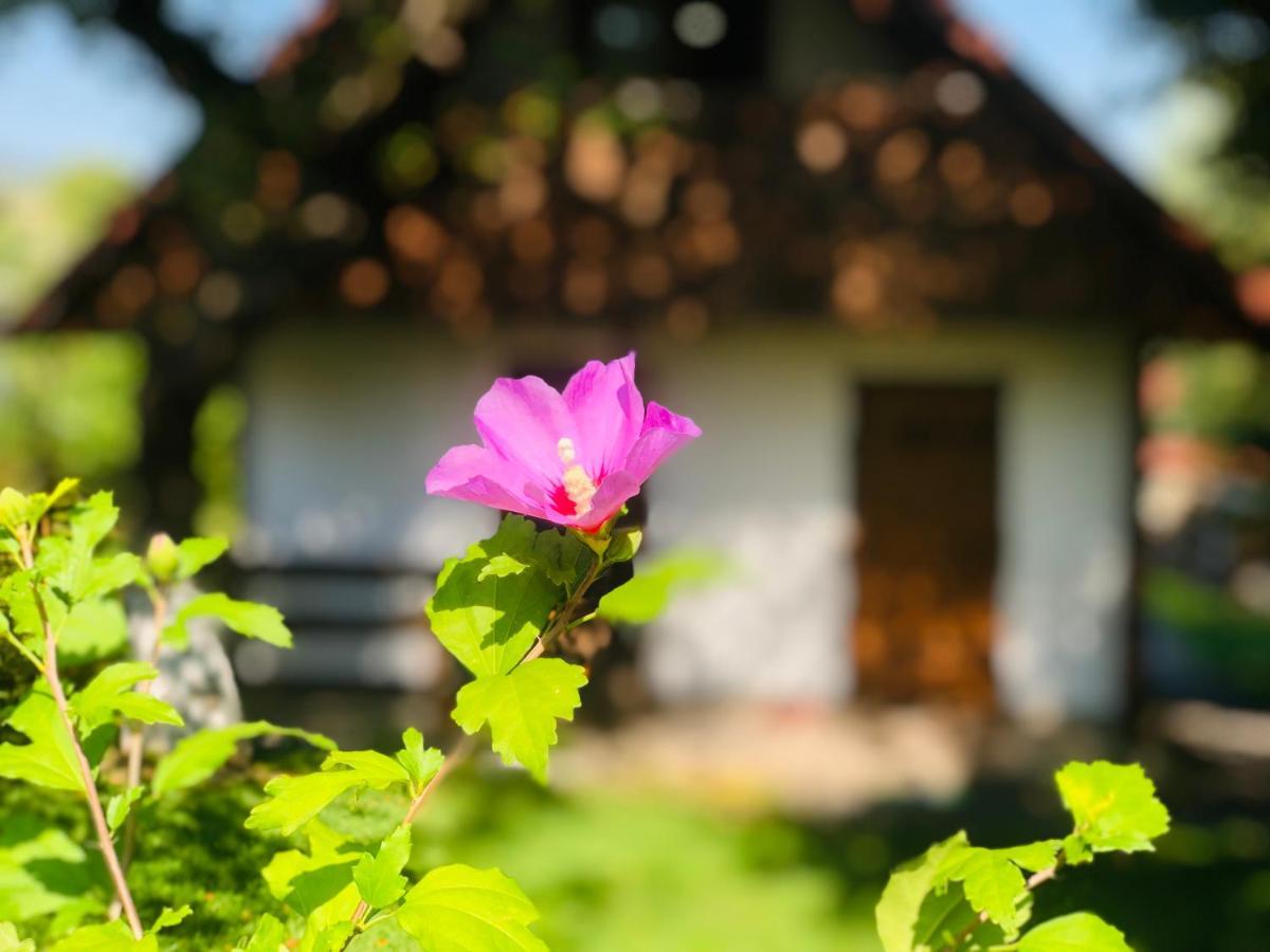 Vila Еко Дім З Соломи Soločin Exteriér fotografie