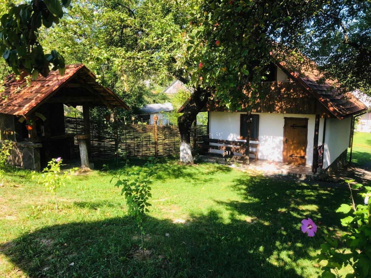 Vila Еко Дім З Соломи Soločin Exteriér fotografie