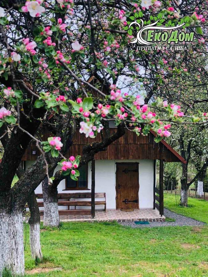 Vila Еко Дім З Соломи Soločin Exteriér fotografie