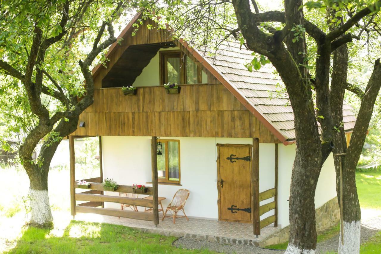 Vila Еко Дім З Соломи Soločin Exteriér fotografie