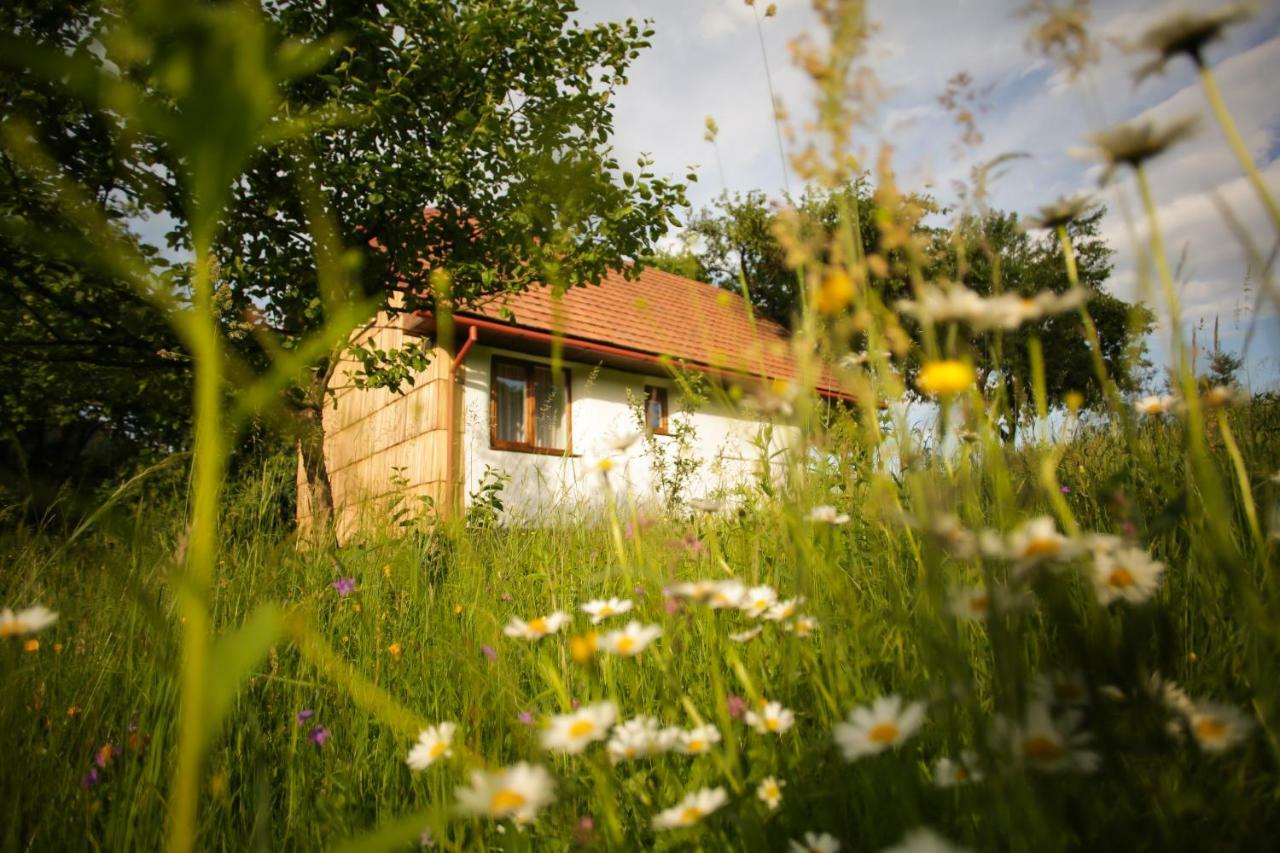 Vila Еко Дім З Соломи Soločin Exteriér fotografie