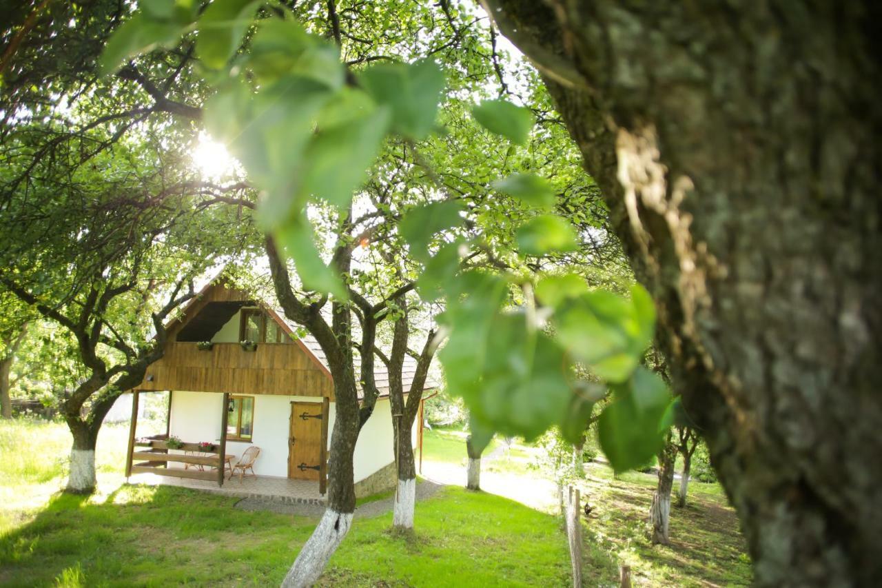 Vila Еко Дім З Соломи Soločin Exteriér fotografie
