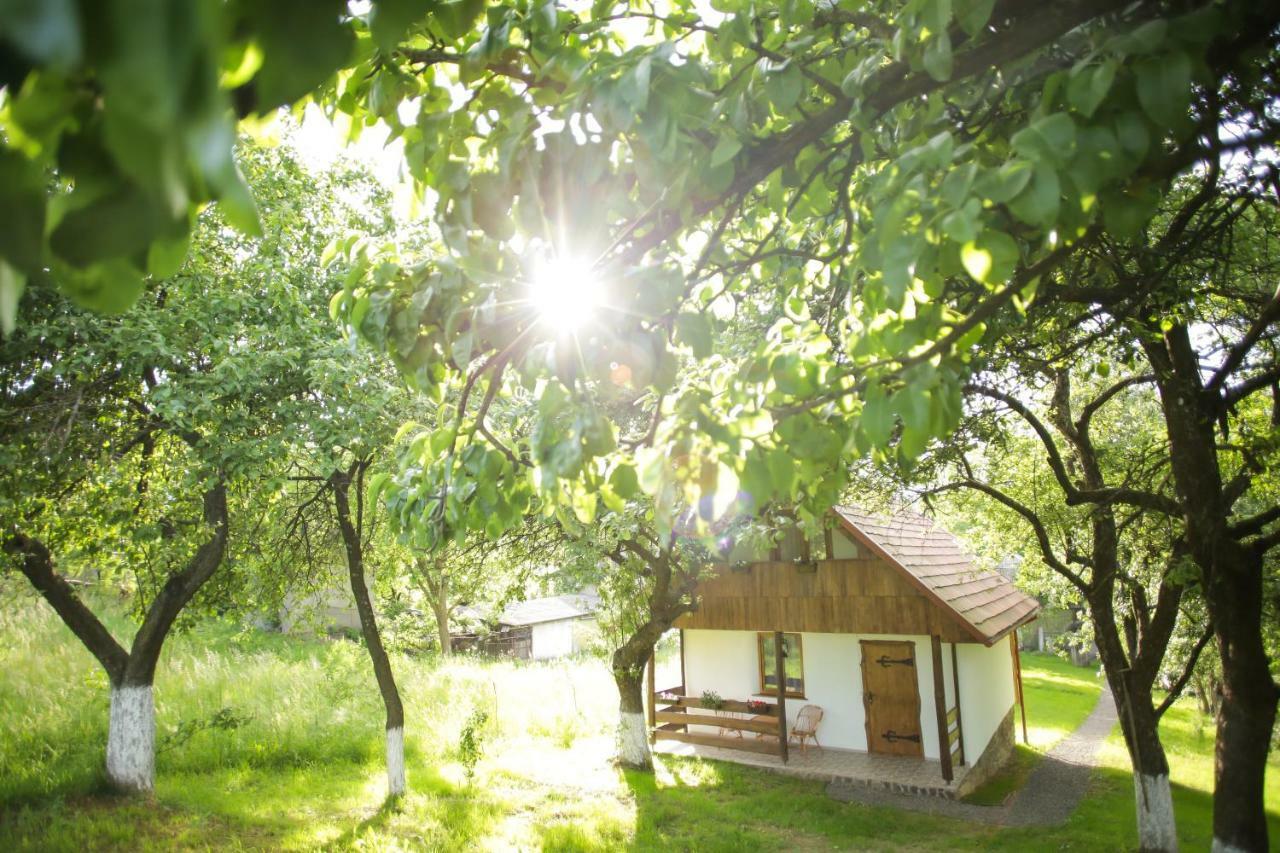 Vila Еко Дім З Соломи Soločin Exteriér fotografie