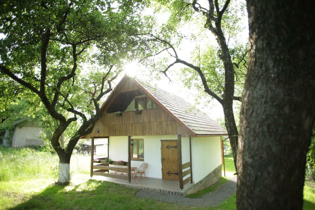 Vila Еко Дім З Соломи Soločin Exteriér fotografie